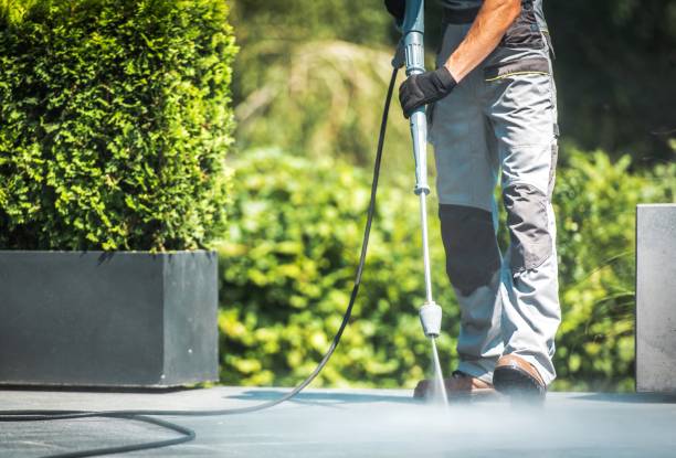 Panthersville, GA Pressure Washing Services Company